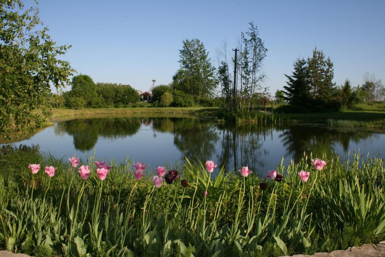 Vila Dikisi Daugavpils Exteriér fotografie