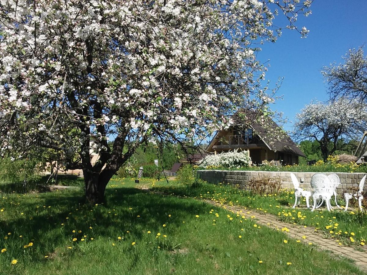 Vila Dikisi Daugavpils Exteriér fotografie